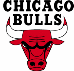 bulls_logo.gif
