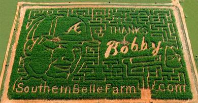 Bobby Cox Corn Maze.jpg