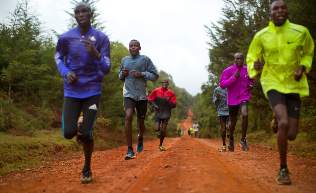 In this Jan. 30, 2016, photo winner of the London, Berlin and Chicago marathons Eliud Kipchoge, second right, trains with other athletes just after dawn in Kaptagat Forest in western Kenya. At a high-altitude training camp in Kenya, star athletes turn their back on modernity and bling for a simple life of hard training and communal, egalitarian living. (AP Photo/Ben Curtis)