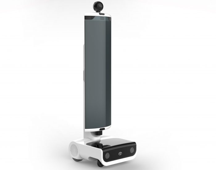Virtual mobility/tele-presence robot