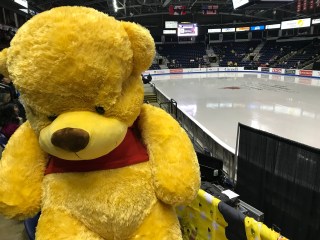 Winnie the Pooh
