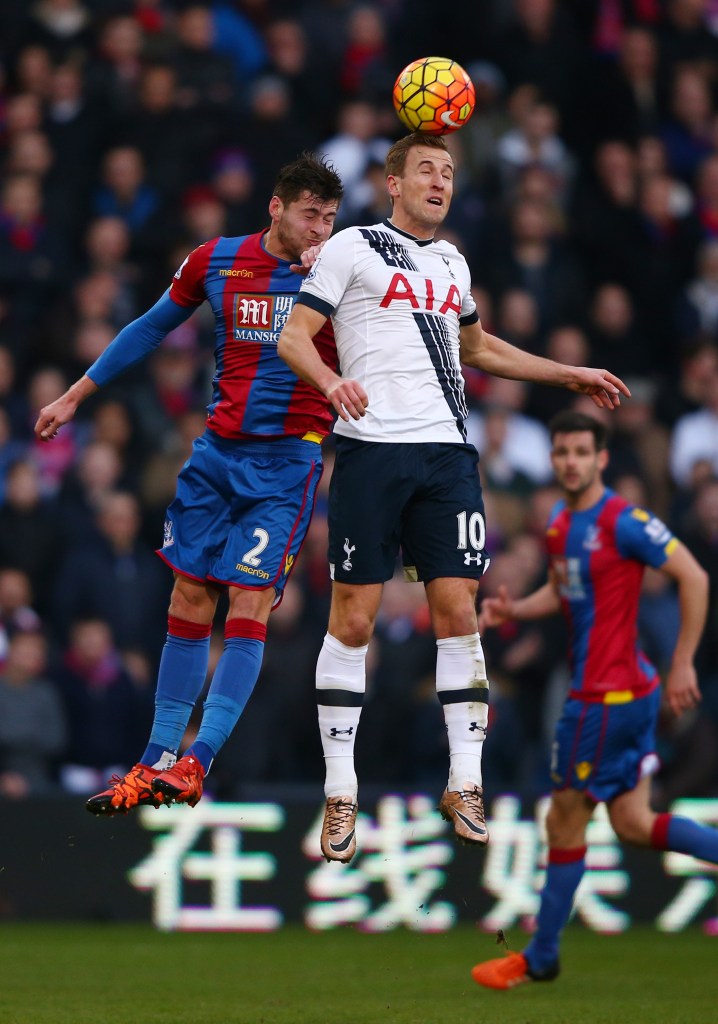 during the Barclays Premier League match between Crystal Palace and Tottenham Hotspur at Selhurst Park on January 23, 2016 in London, England.