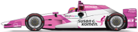 63-SusanGKomen-SS-Indy